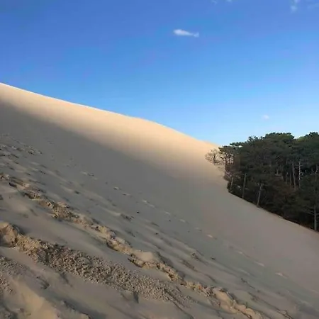 L oree du lac Villa Jacuzzi sur le Bassin proche Lac de Cazaux, océan, plages du Pilat et Arcachon et Dune du Pilat Villa