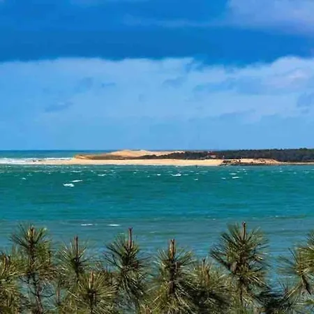 Villa L oree du lac Villa Jacuzzi sur le Bassin proche Lac de Cazaux, océan, plages du Pilat et Arcachon et Dune du Pilat *
