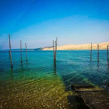 L oree du lac Villa Jacuzzi sur le Bassin proche Lac de Cazaux, océan, plages du Pilat et Arcachon et Dune du Pilat La Teste-de-Buch