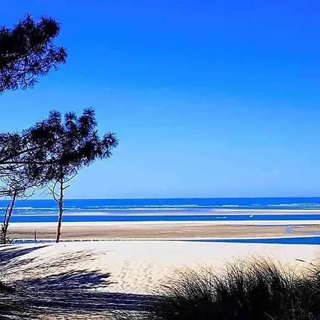 L oree du lac Villa Jacuzzi sur le Bassin proche Lac de Cazaux, océan, plages du Pilat et Arcachon et Dune du Pilat * La Teste-de-Buch